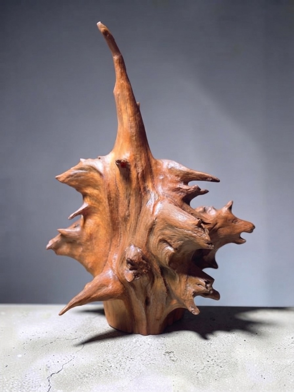 Handcrafted Cedar Wood Sculpture Root Art by James Robinson